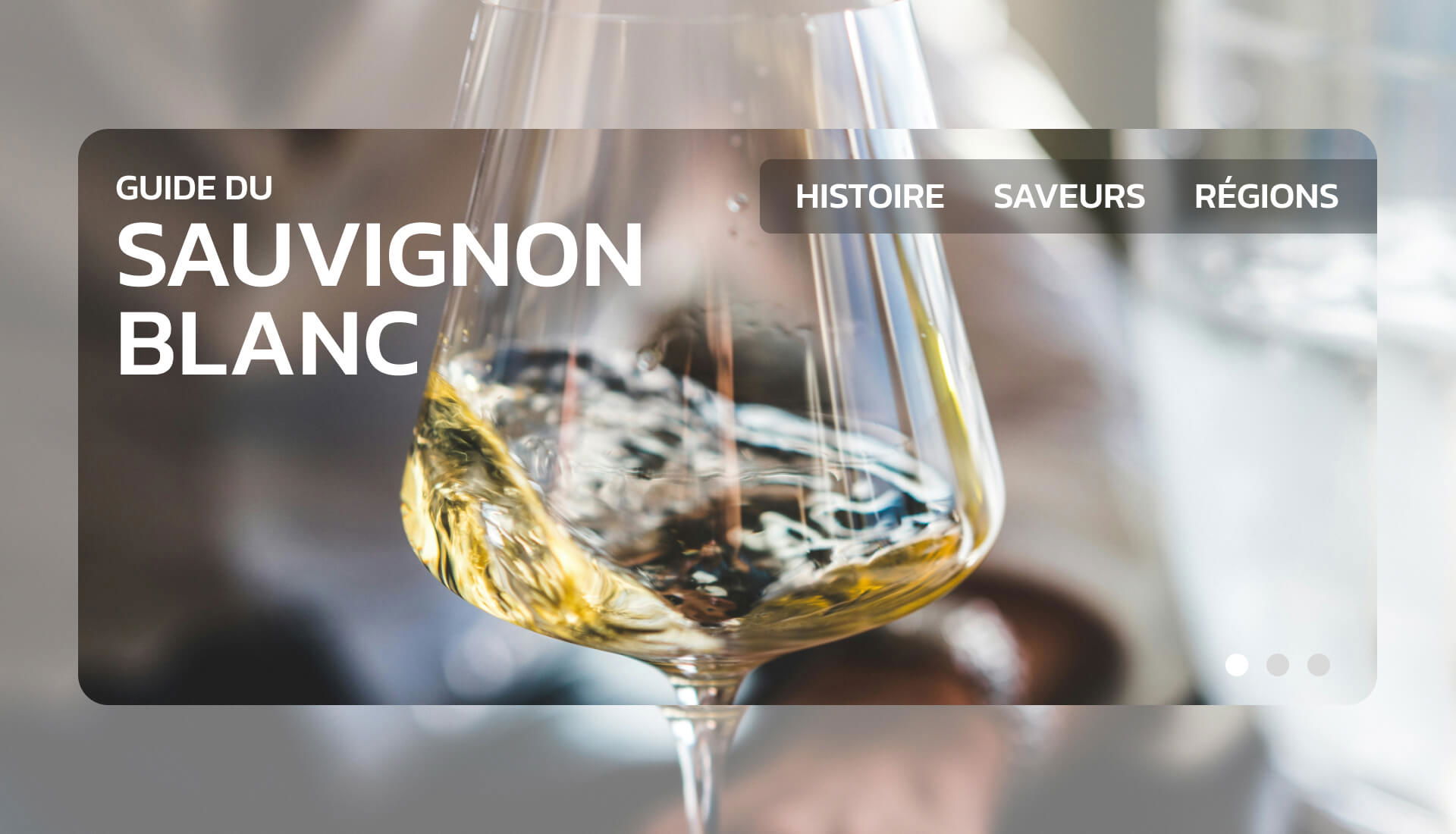 Percer les secrets du Sauvignon Blanc : le guide ultime de ce vin emblématique