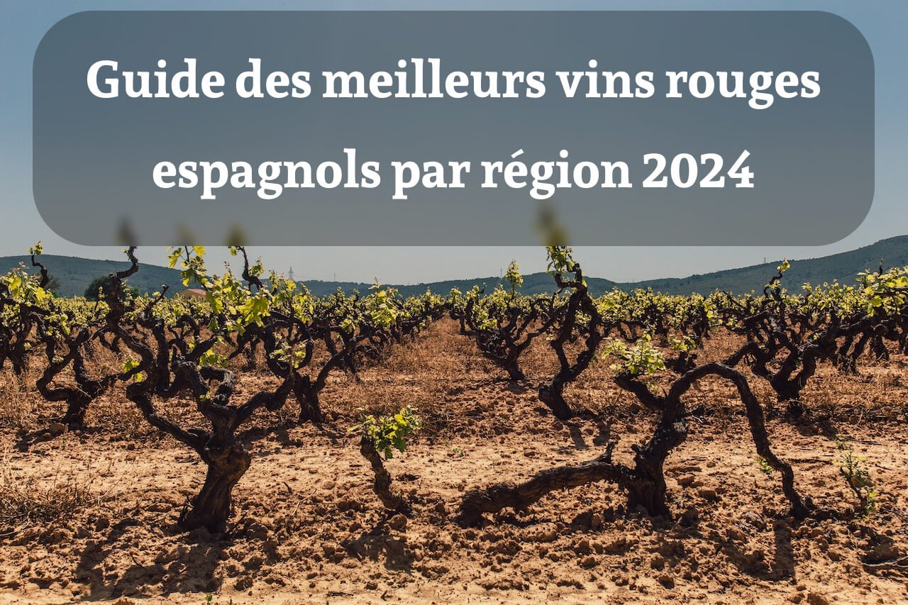 Guide des meilleurs vins rouges espagnols par région 2024