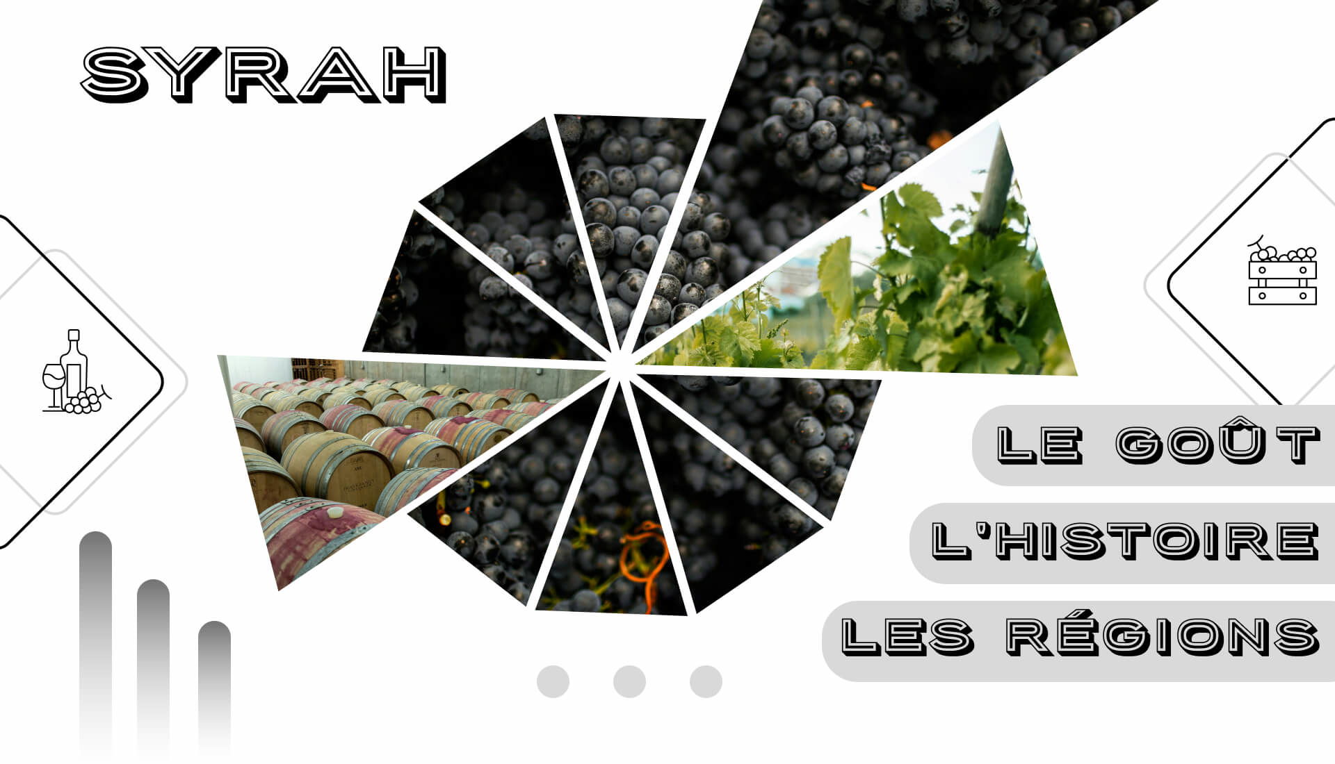 Vins de Syrah - Guide des bases et des secrets