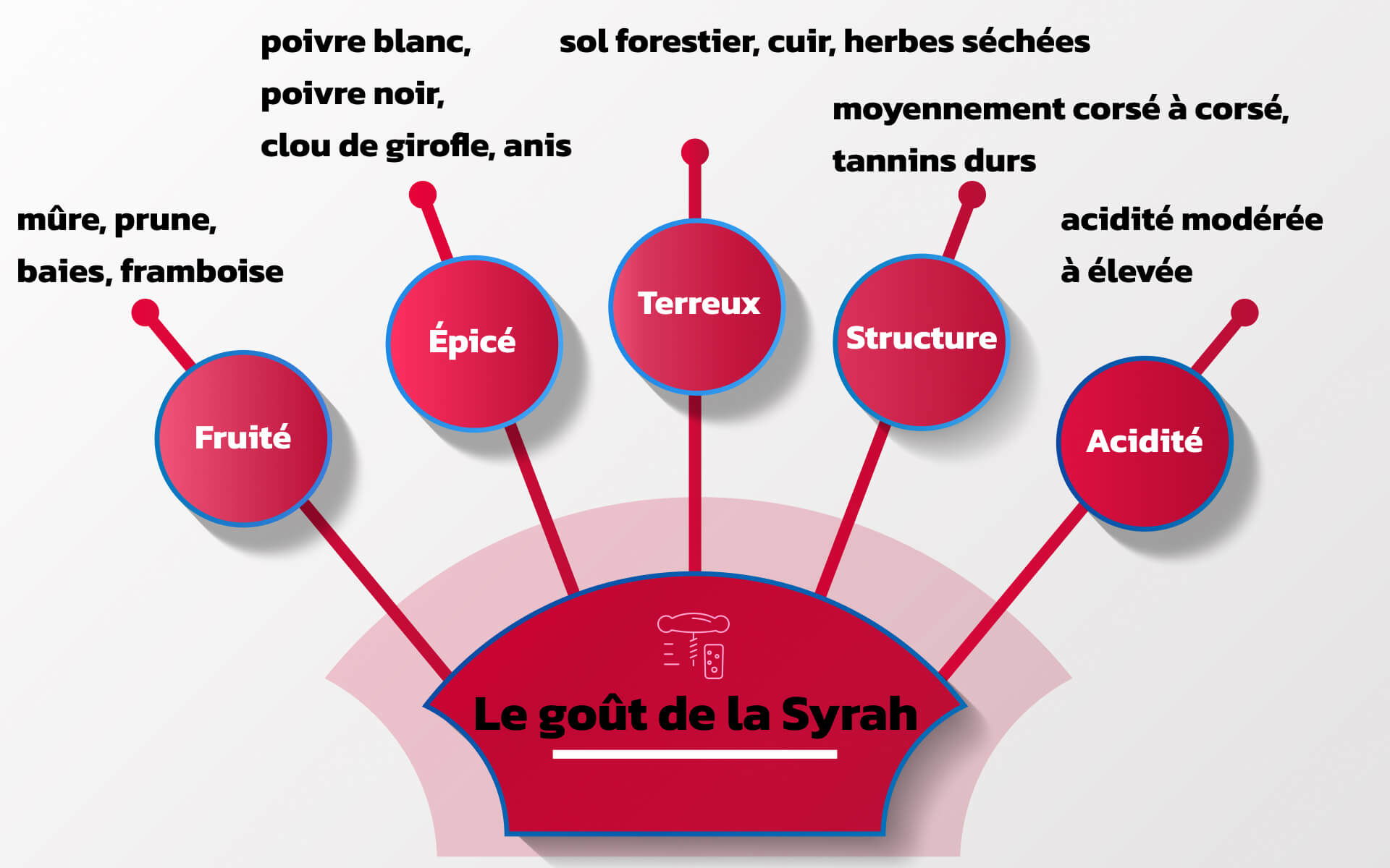 Le goût de la Syrah