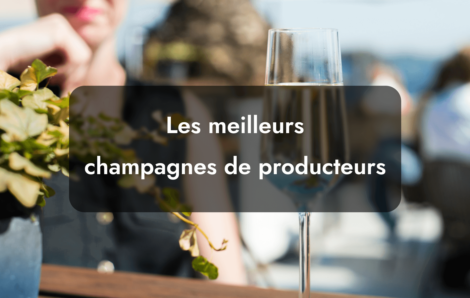 Les meilleurs champagnes de producteurs