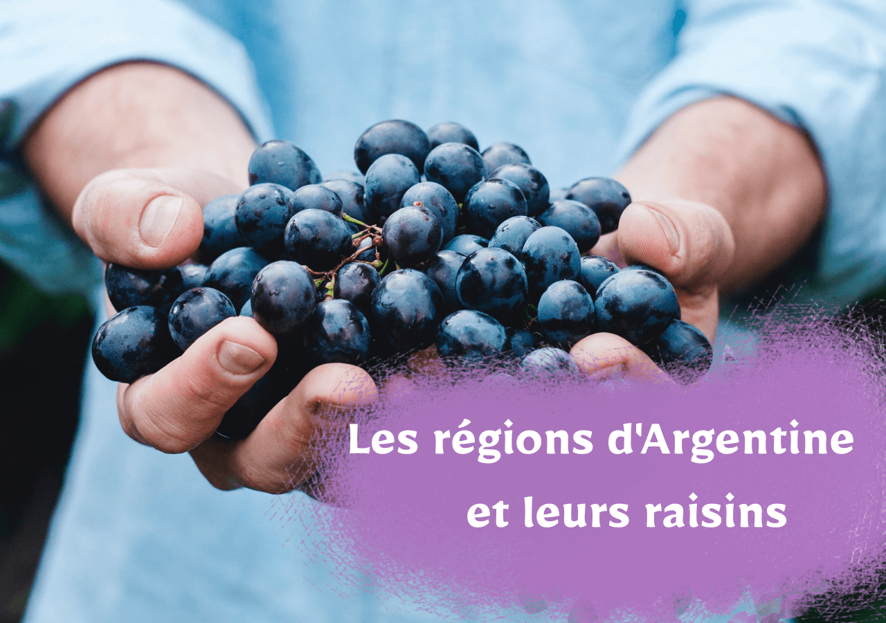 Les régions d'Argentine et leurs raisins