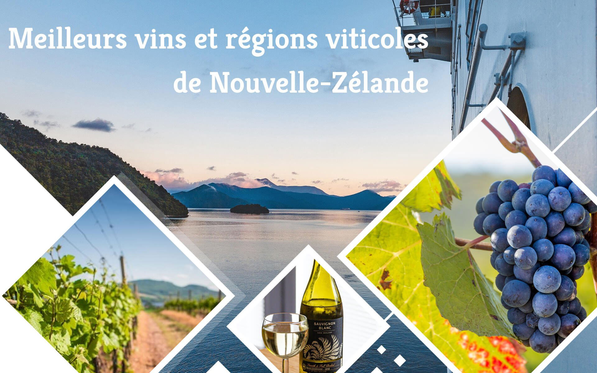 Vins de Nouvelle-Zélande : Les boissons estivales du bout du monde