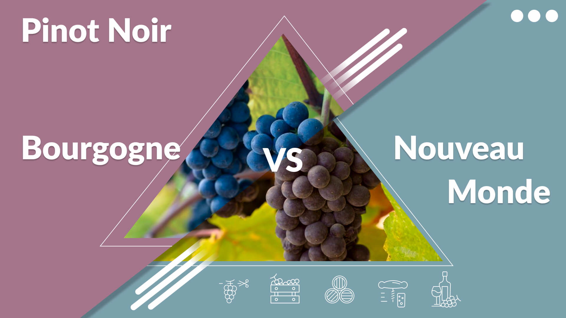 Bourgogne et Pinot Noir du Nouveau Monde