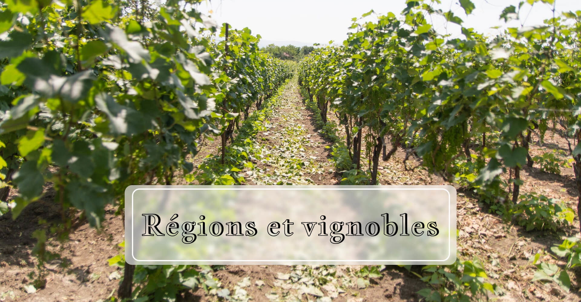 Régions et vignobles