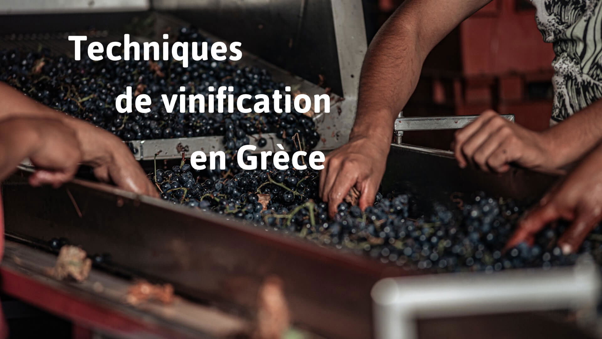 Techniques de vinification en Grèce