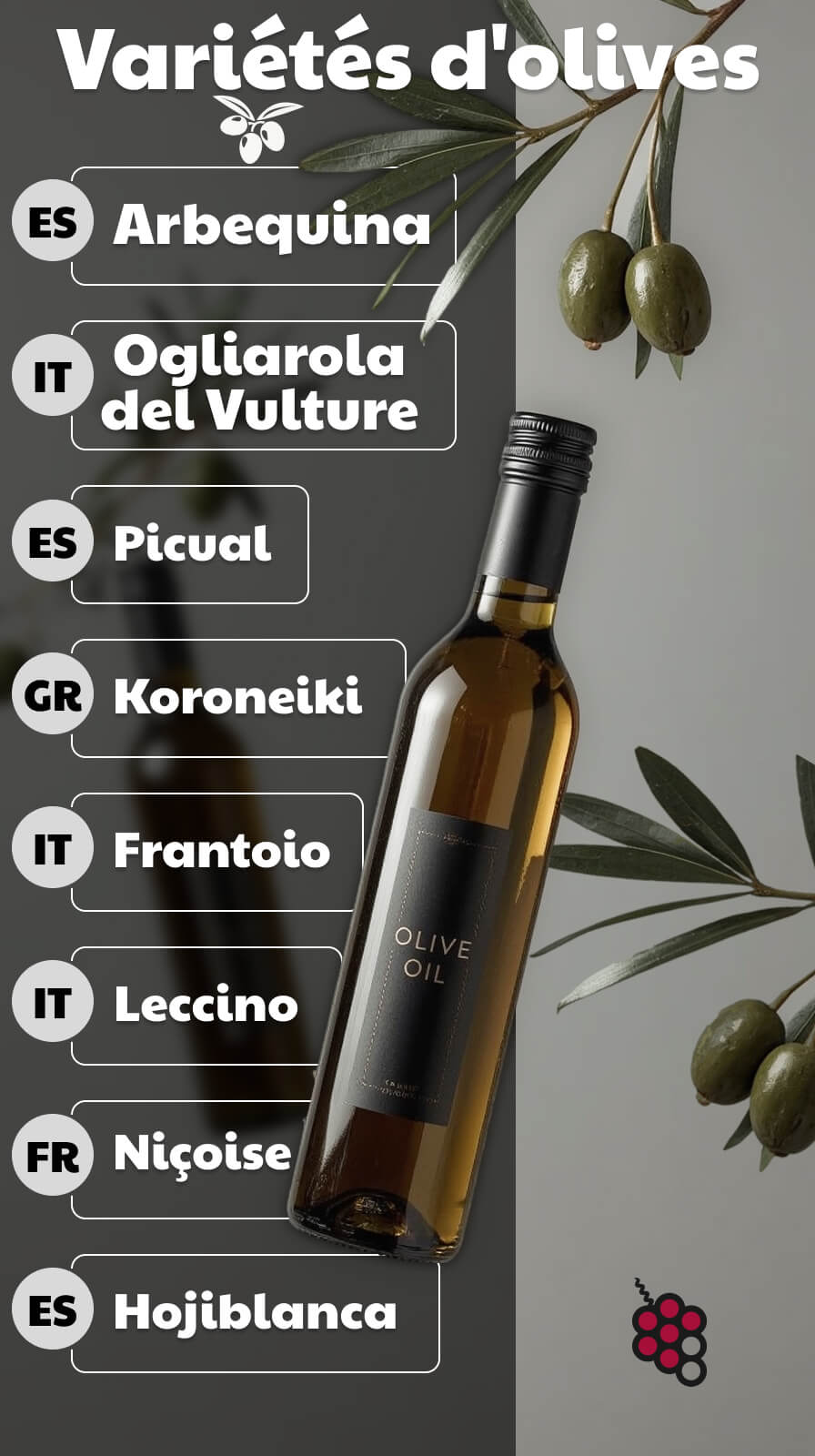 Guide des variétés d'olives pour les débutants Quel est le goût de — free download