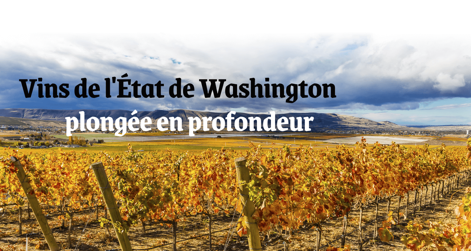 Vins de l'État de Washington - plongée en profondeur