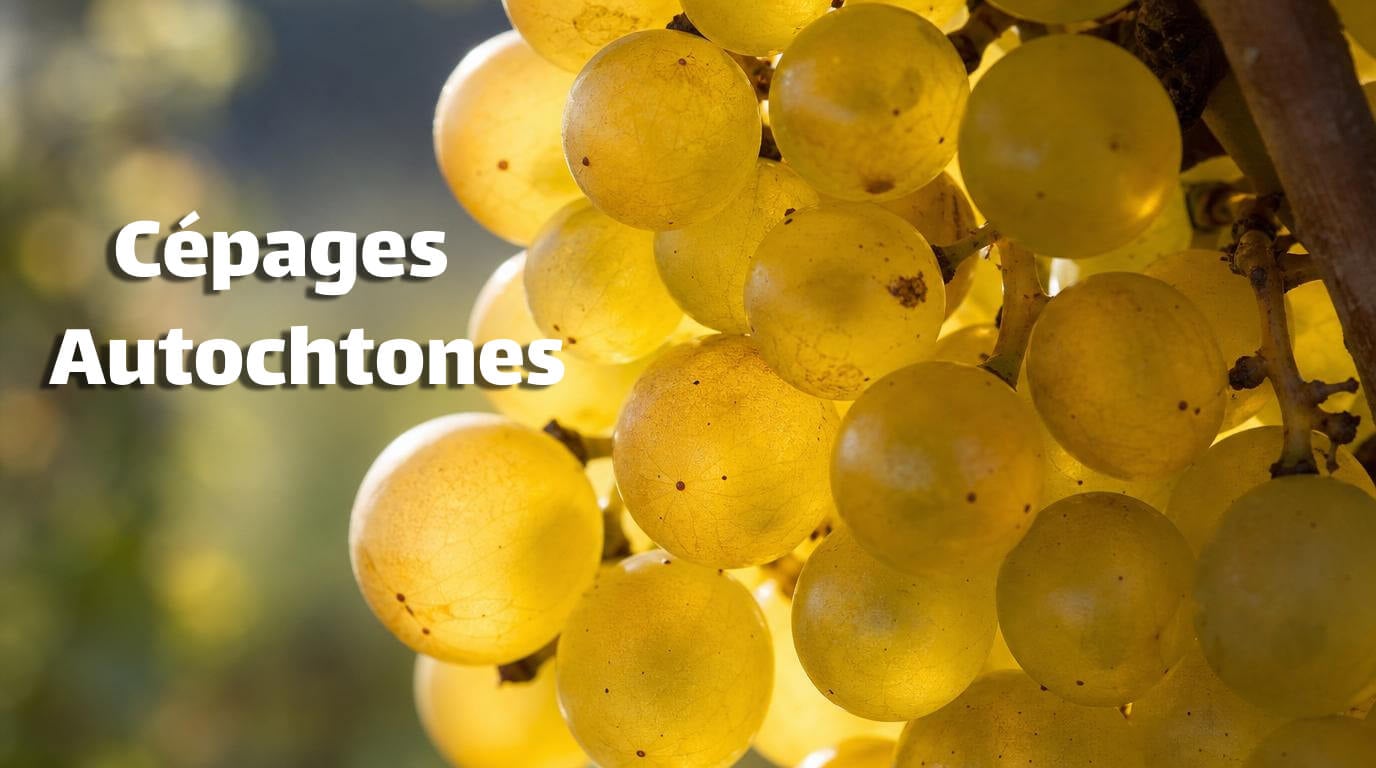 cépages autochtones