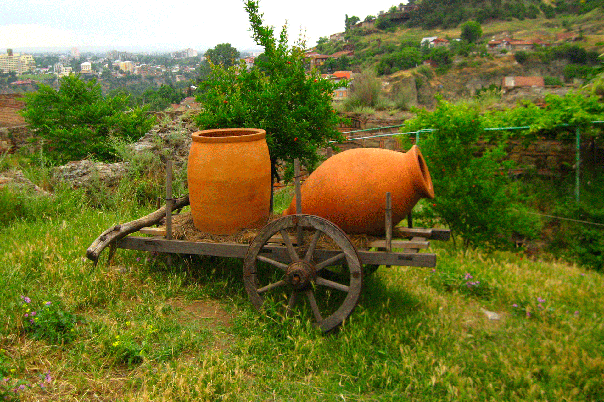 La Géorgie, berceau et nouvelle frontière de la viticulture mondiale