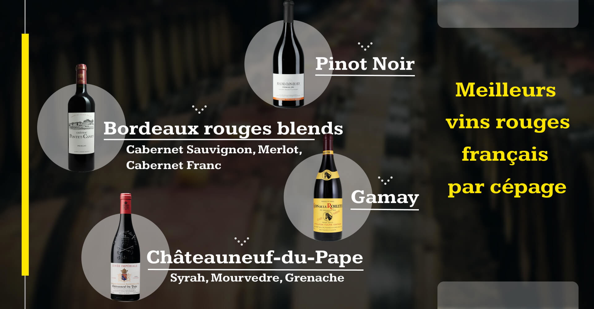 vins rouges français par cépage